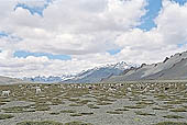 The road from Leh to Manali